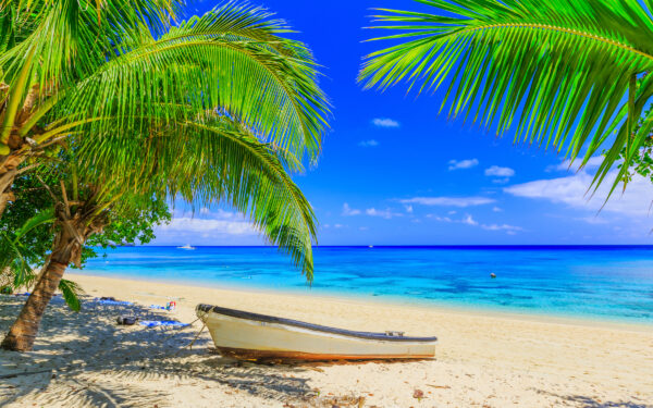 Isola di Dravuni, Fiji. Spiaggia, barca e palme