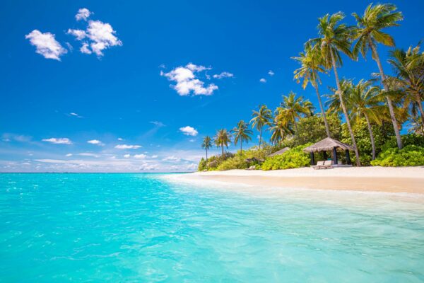 Spiaggia,Resort,Paesaggio,,Tropico,Surf,E,Orizzontale,Mare,Come,Estate
