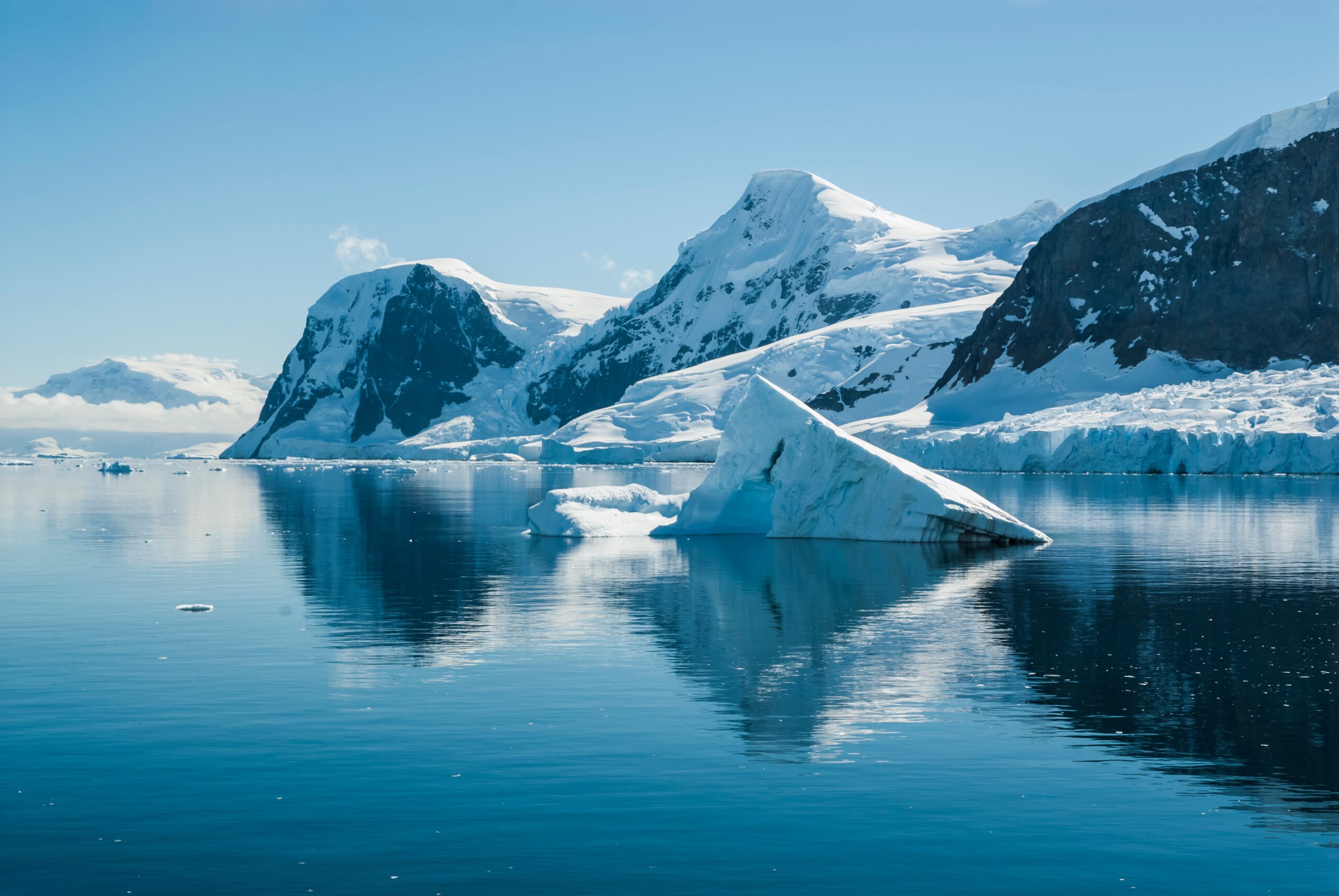 Princess Cruises annuncia quattro viaggi in Antartide per il 2024-2025