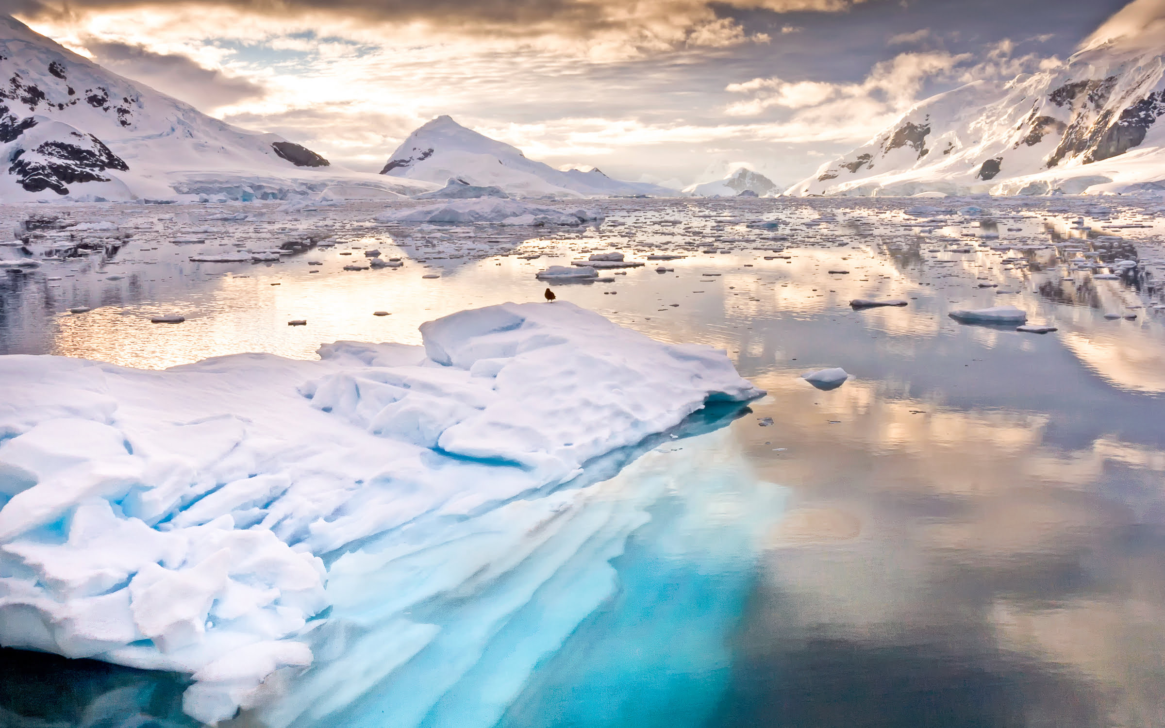 Ponant e Explorers Club annunciano una spedizione di 30 giorni in Antartide