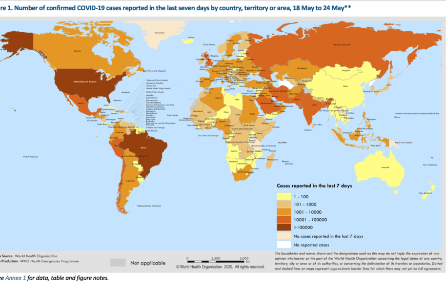 Coronavirus 2019 (COVID-19) – aggiornamento globale – 24 maggio 2020